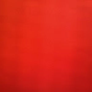 Meet your Posher, Tamara